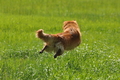 Vorschau von Bild 376 von 755