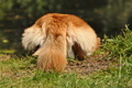Vorschau von Bild 373 von 755