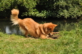 Vorschau von Bild 371 von 755