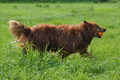 Vorschau von Bild 321 von 755