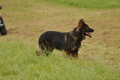 Vorschau von Bild 244 von 755
