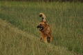 Vorschau von Bild 185 von 755