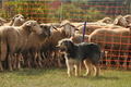 Vorschau von Bild 120 von 311