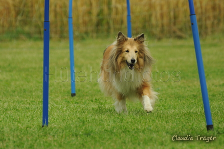 Sheltie / Bild 7 von 22 / 19.07.2020 12:29 / DSC_9634.JPG