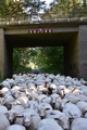 Vorschau von Bild 24 von 51