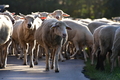 Vorschau von Bild 26 von 51