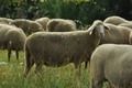 Vorschau von Bild 139 von 620
