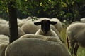 Vorschau von Bild 138 von 620