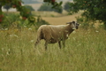 Vorschau von Bild 133 von 620