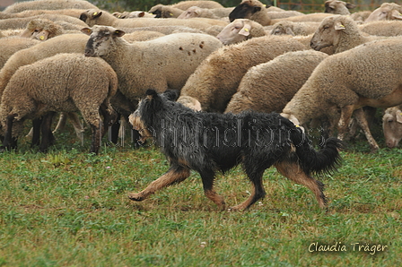 AAH Bundeshüten 2016 / Bild 1 von 163 / 17.09.2016 08:58 / DSC_0526.JPG