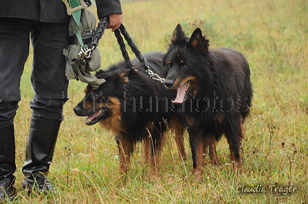 AAH Bundeshüten 2016 / Bild 4 von 163 / 17.09.2016 09:57 / DSC_4410.JPG