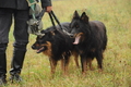 AAH Bundeshüten 2016 / Bild 4 von 163 / 17.09.2016 09:57 / DSC_4410.JPG