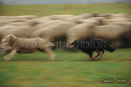AAH Bundeshüten 2016 / Bild 6 von 163 / 17.09.2016 11:22 / DSC_4523.JPG
