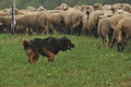 AAH Bundeshüten 2016 / Bild 8 von 163 / 17.09.2016 13:19 / DSC_0918.JPG