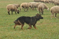 AAH Bundeshüten 2016 / Bild 10 von 163 / 17.09.2016 13:22 / DSC_0988.JPG