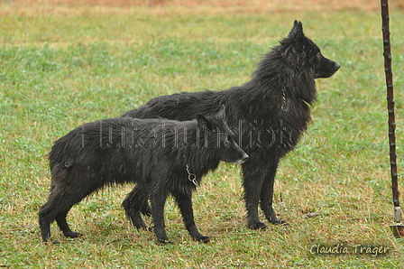 AAH Bundeshüten 2016 / Bild 20 von 163 / 17.09.2016 14:13 / DSC_1387.JPG