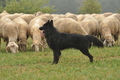 AAH Bundeshüten 2016 / Bild 24 von 163 / 17.09.2016 14:31 / DSC_1733.JPG