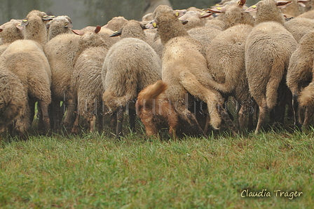 AAH Bundeshüten 2016 / Bild 37 von 163 / 17.09.2016 15:33 / DSC_2508.JPG