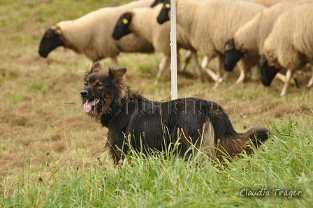 AAH Bundesh&uuml;ten 2017 / Bild 123 von 352 / 09.09.2017 14:52 / DSC_1770.JPG