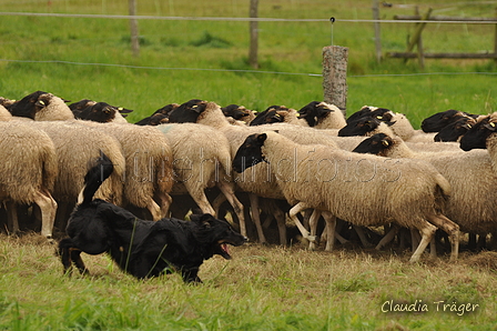 AAH Bundesh&uuml;ten 2017 / Bild 130 von 352 / 09.09.2017 14:57 / DSC_1862.JPG