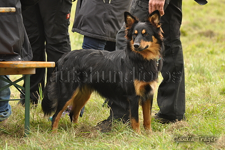 AAH Bundesh&uuml;ten 2017 / Bild 175 von 352 / 09.09.2017 16:52 / DSC_3015.JPG