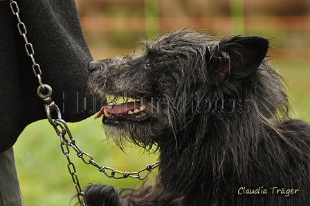 AAH Bundesh&uuml;ten 2017 / Bild 191 von 352 / 10.09.2017 09:17 / DSC_3384.JPG