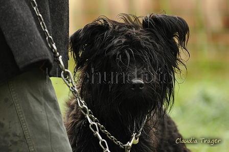 AAH Bundesh&uuml;ten 2017 / Bild 193 von 352 / 10.09.2017 09:18 / DSC_3400.JPG