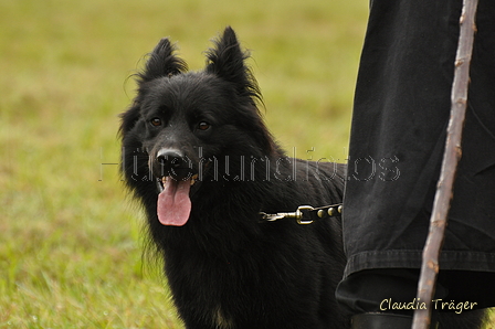 AAH Bundesh&uuml;ten 2017 / Bild 196 von 352 / 10.09.2017 09:22 / DSC_3451.JPG