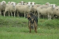 Vorschau von Bild 4/27