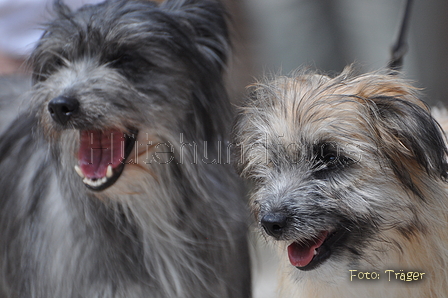 AAH Freundschaftsh&uuml;ten / Bild 29 von 76 / 27.07.2014 11:50 / DSC_6913.JPG