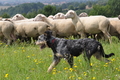 Vorschau von Bild 46 von 76