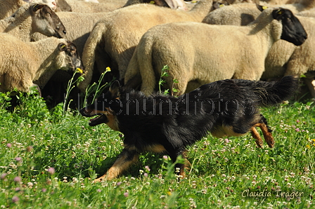 AAH Freundschaftshüten / Bild 7 von 124 / 23.07.2017 09:47 / DSC_2684.JPG
