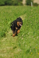 AAH Freundschaftshüten / Bild 12 von 124 / 23.07.2017 09:56 / DSC_2805.JPG