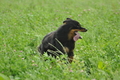 AAH Freundschaftshüten / Bild 15 von 124 / 23.07.2017 10:04 / DSC_2891.JPG
