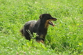 AAH Freundschaftshüten / Bild 17 von 124 / 23.07.2017 10:04 / DSC_2897.JPG