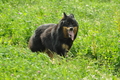 AAH Freundschaftshüten / Bild 18 von 124 / 23.07.2017 10:04 / DSC_2901.JPG