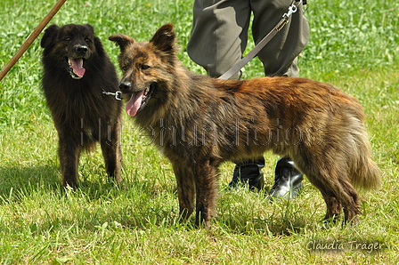 AAH Freundschaftshüten / Bild 52 von 124 / 23.07.2017 11:31 / DSC_3868.JPG