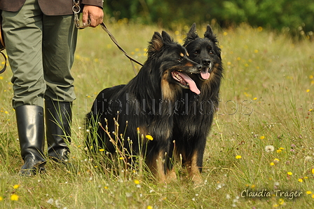 AAH Freundschaftshüten / Bild 27 von 88 / 28.07.2019 10:29 / DSC_5916.JPG