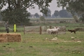 Vorschau von Bild 1 von 77