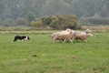 Vorschau von Bild 2 von 77