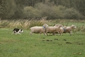 Vorschau von Bild 5 von 77