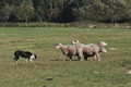Vorschau von Bild 42 von 77