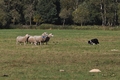 Vorschau von Bild 67 von 77