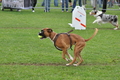 Vorschau von Bild 7 von 26