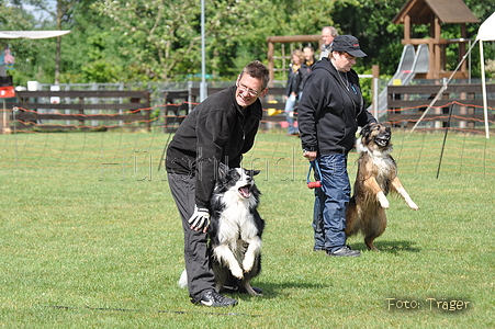Bild 6 von 31