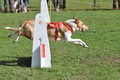Vorschau von Bild 13 von 26