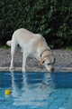 Freibad Lindhorst / Bild 13 von 31 / 18.09.2015 16:04 / DSC_2408.JPG