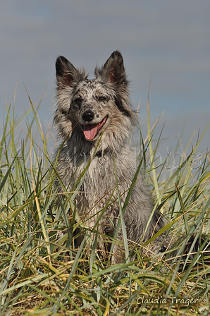 Hundestrand / Bild 14 von 376 / 19.09.2016 15:41 / DSC_8050.JPG