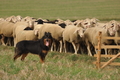 VDL Bundeshüten 2015 / Bild 3 von 169 / 12.09.2015 11:56 / DSC_6698.JPG