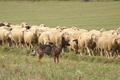 Vorschau von Bild 52 von 169